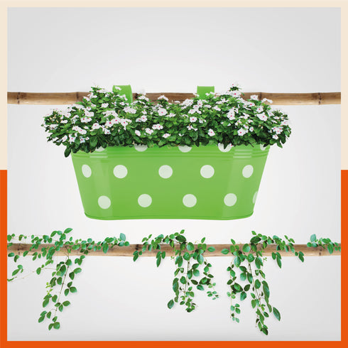 ARA Hanging Metal Pot Holders / Planters for Home / Balcony / Garden | Green